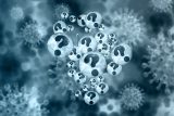 El citomegalovirus: uno de los peores ‘villanos’ para el paciente trasplantado